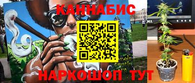 дмт Обь