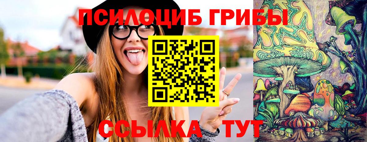 Галлюциногенные грибы Psilocybe Азов