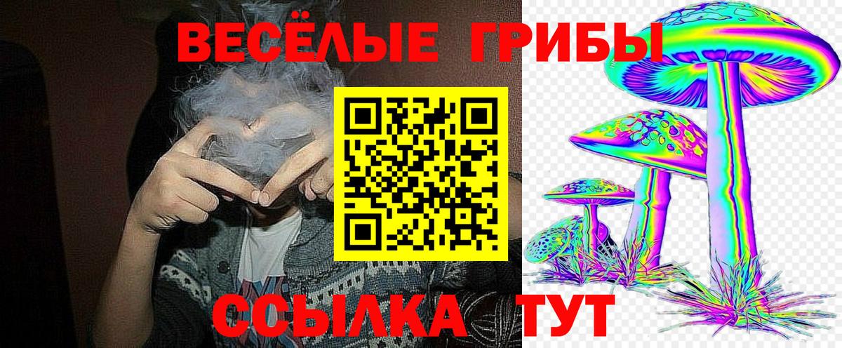 Азов  Галлюциногенные грибы ЛСД  где продают наркотики  Вход с VPN  Галлюциногенные грибы GOLDEN TEACHER 